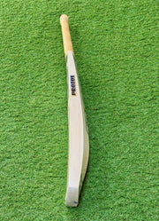 PRO Blizzard Cricket Bat