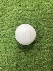 Vixen Gold V-80 Plastic Cricket Ball Jointless Design | Strong & Durable | Smooth Surface for Better Grip | Practice & Training Ball (White)