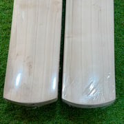 PRO Tempest SH Adult Cricket Bat