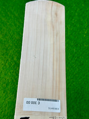 PRO Blizzard Cricket Bat