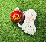 Hercules Hanging Cricket Training Ball