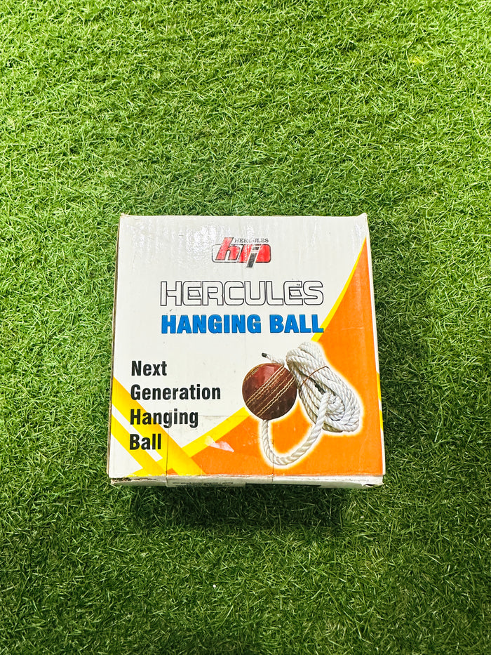 Hercules Hanging Cricket Training Ball