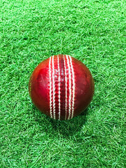 Kookaburra Mens Speed Red Cricket Ball