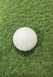 Tyka 120 Speed Cricket Training Ball White