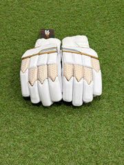 DSC Passion Cricket Batting Gloves