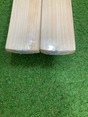 SG King Cobra Size Harrow Cricket Bat