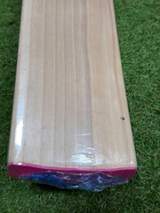 SG Roar Limited Edition Size Harrow Cricket Bat