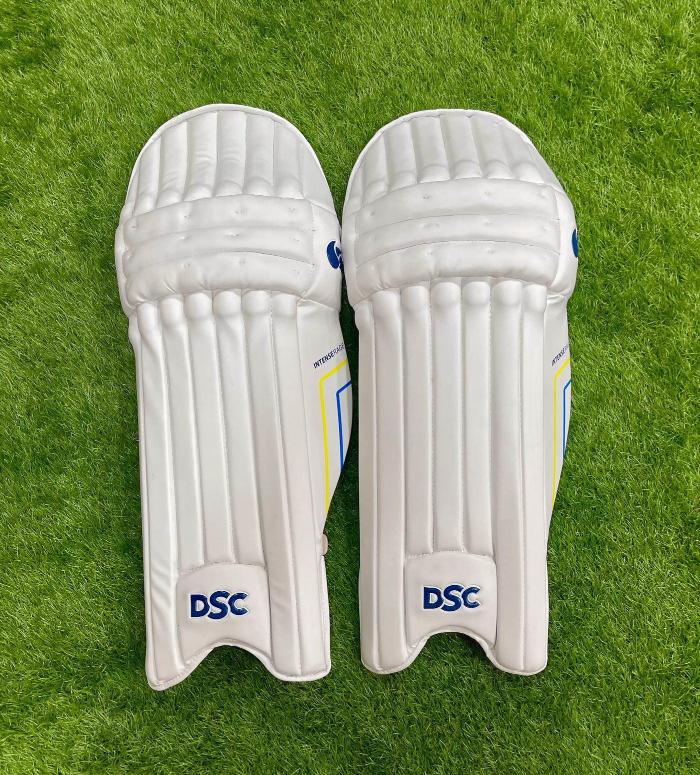 DSC Intense Rage Cricket Batting Pads