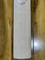 DSC XLite 50 Cricket Bat - View 2