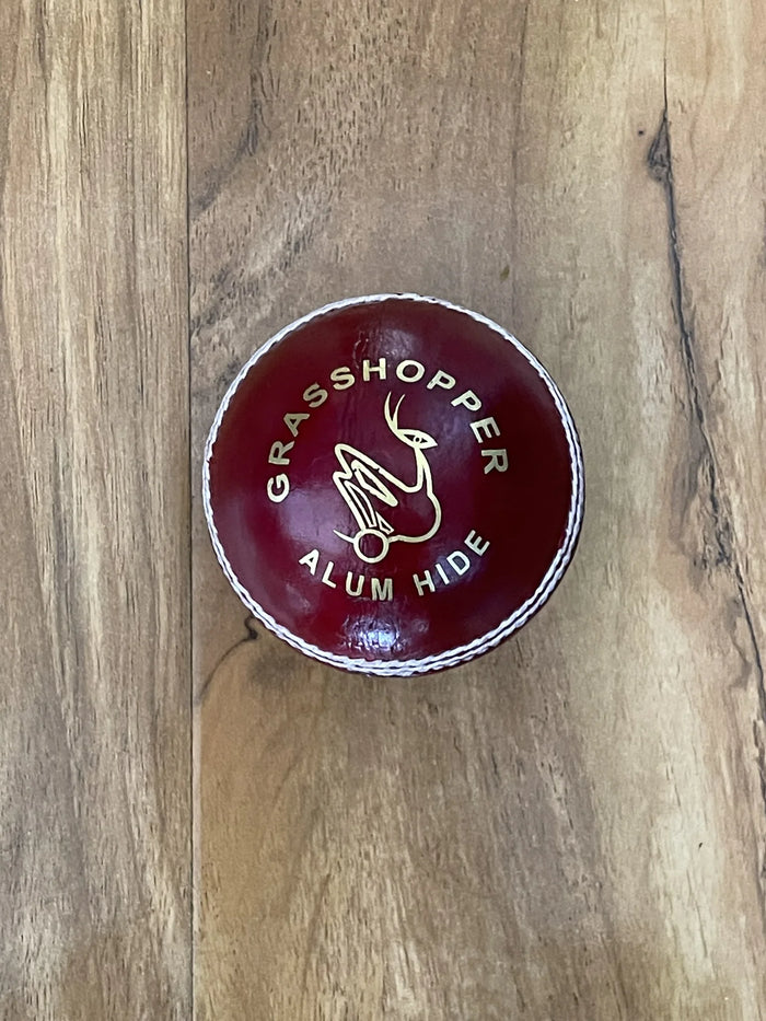 Grasshopper Beamer Leather Red Size Youth Pack of 1 Cricket Junior Ball - Main Image