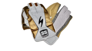 SS Single S Wicket Keeping Gloves - Main Image