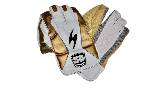 SS Single S Wicket Keeping Gloves - Main Image