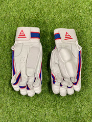 Versant x Gill Pro DG Cricket Batting Gloves - Red Blue image 5