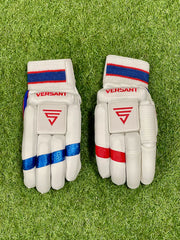 Versant x Gill Pro DG Cricket Batting Gloves - Red Blue main image