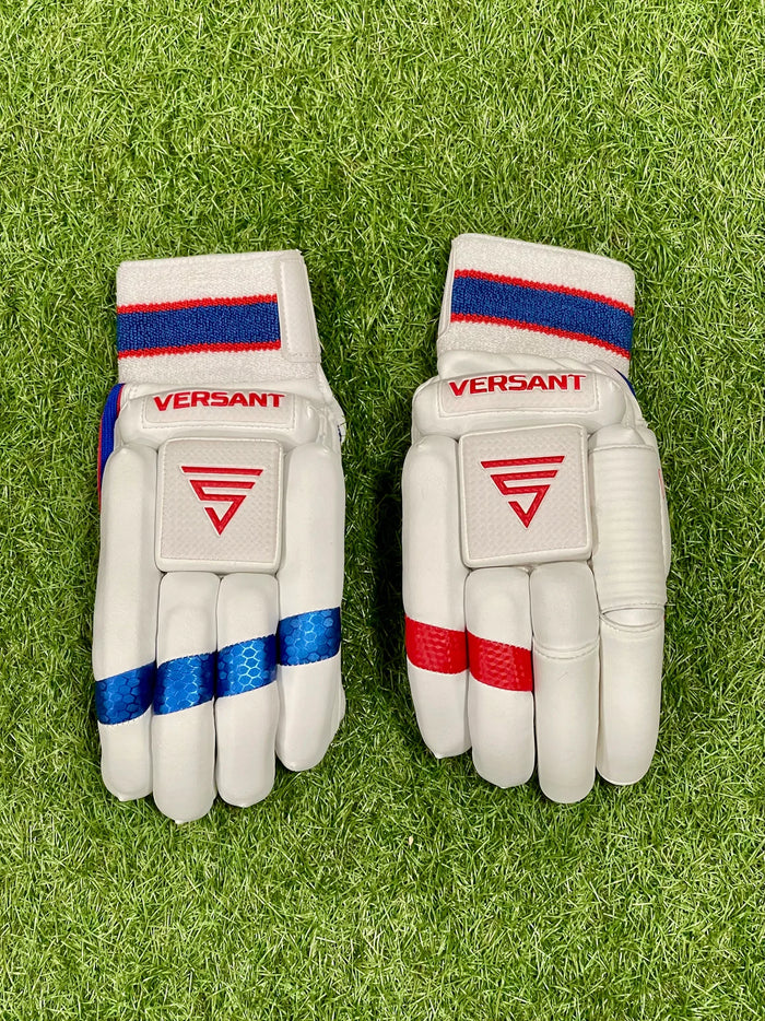 Versant x Gill Pro DG Cricket Batting Gloves - Red Blue main image